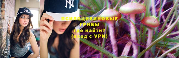 Альфа ПВП Нефтегорск
