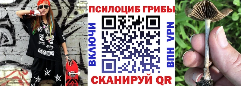 Псилоцибиновые грибы GOLDEN TEACHER купить наркотики цена Киров